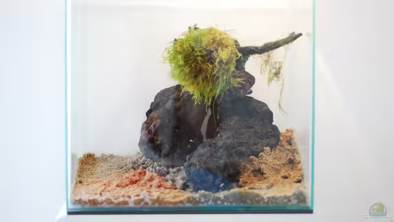 Aquarium Lavanano von TimTamTellerlein (5)