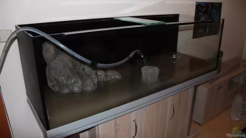 Aquarium Lethrinops Buddelkiste (nur noch als Beispiel) von Sebastian O. (9)