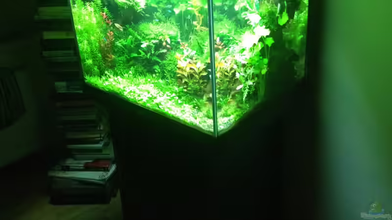 Aquarium Lido 200 von frankHH (25)