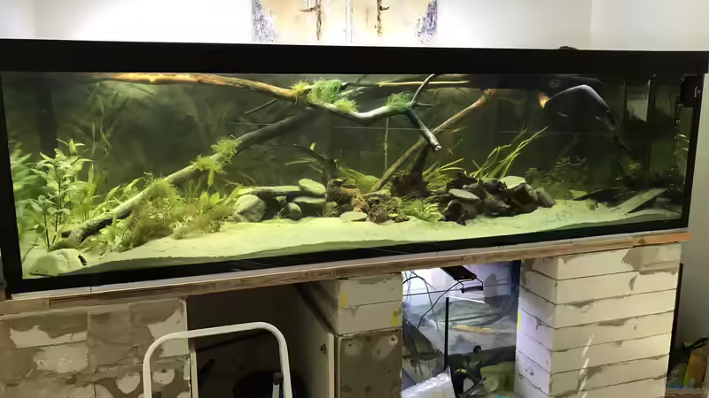 Aquarium Little Amazonas im Ötztal von Hannes Klotz (3)