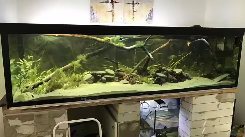 Aquarium Little Amazonas im Ötztal von Hannes Klotz (4)