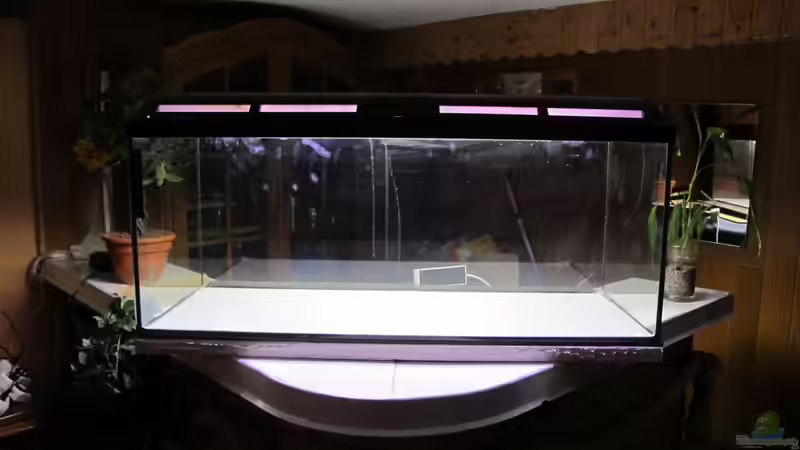 Aquarium Little Big Lake Tanganjika von Locke1992 (2)