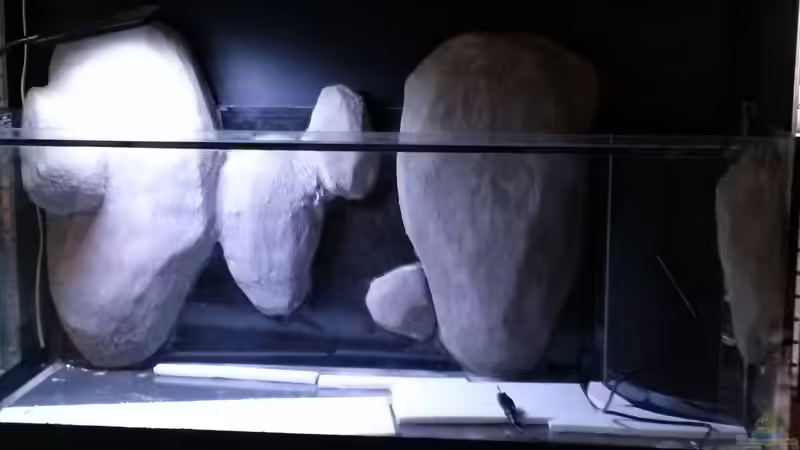 Aquarium Little creek von DerImperator (2)