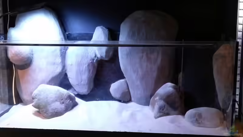 Aquarium Little creek von DerImperator (3)