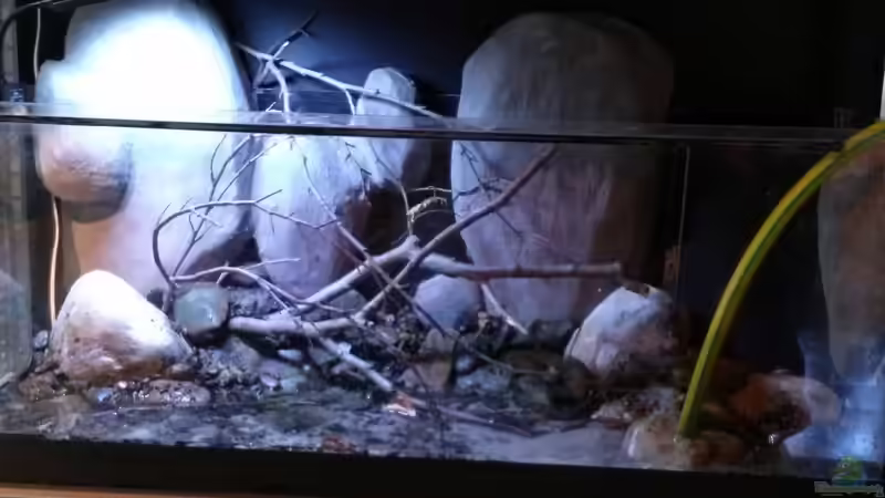 Aquarium Little creek von DerImperator (4)