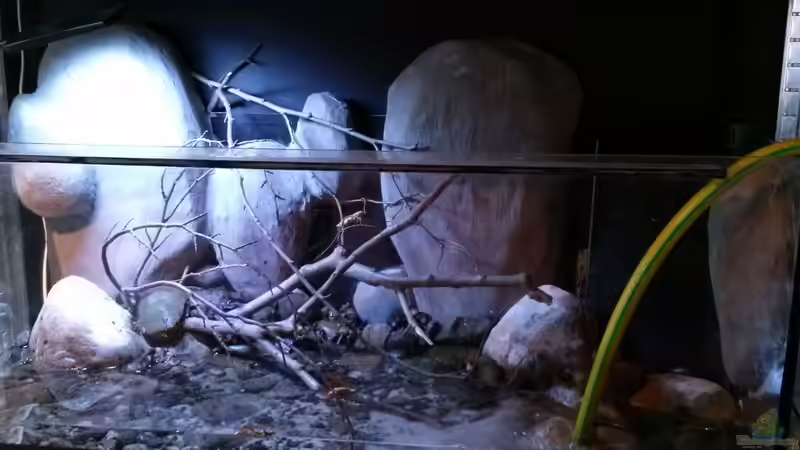 Aquarium Little creek von DerImperator (5)