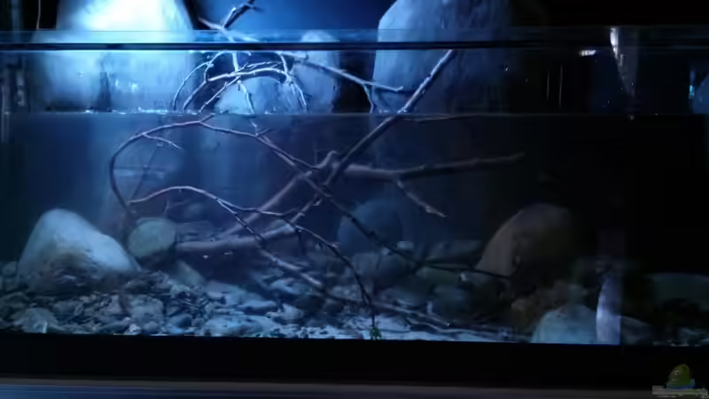 Aquarium Little creek von DerImperator (7)