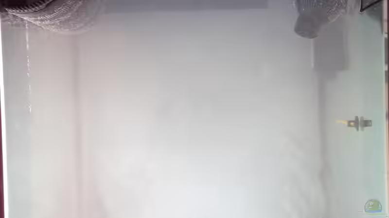 Aquarium Little Sea von MW Luca (17)