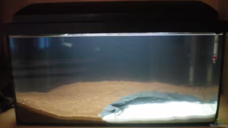 Aquarium Little Südamerika von Thomas Ahrens (2)