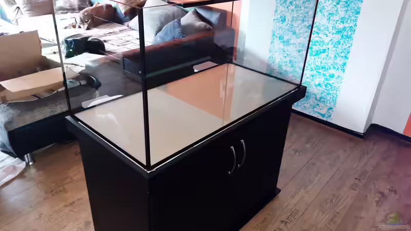 Aquarium LittleSalmlerforest von Lopar1986 (2)