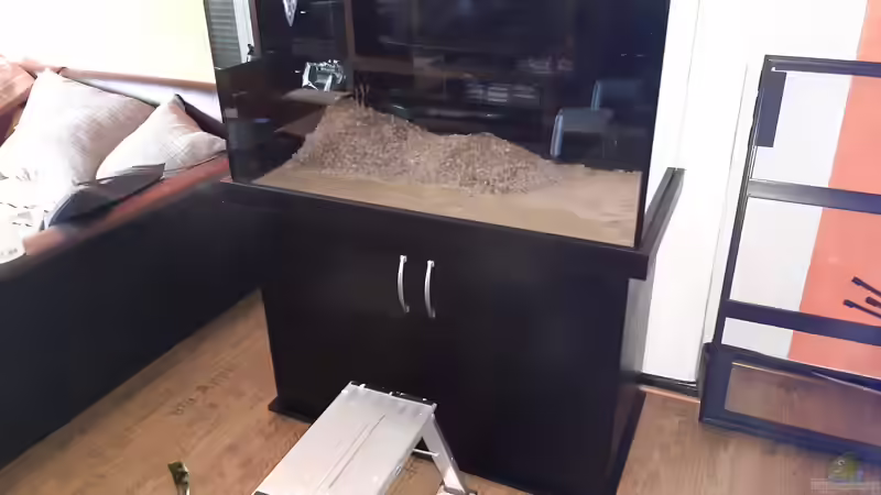 Aquarium LittleSalmlerforest von Lopar1986 (3)