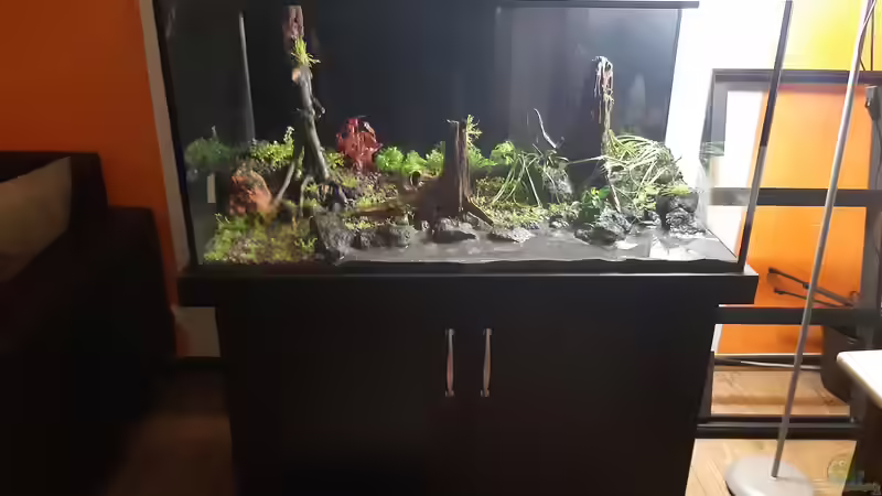 Aquarium LittleSalmlerforest von Lopar1986 (5)