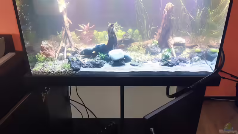 Aquarium LittleSalmlerforest von Lopar1986 (7)