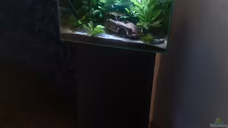 Aquarium Lost Car -  Fluval Edge I von Mas Max (2)