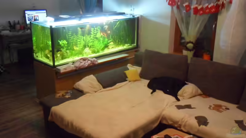 aquarium lounge von kleines becken (7)