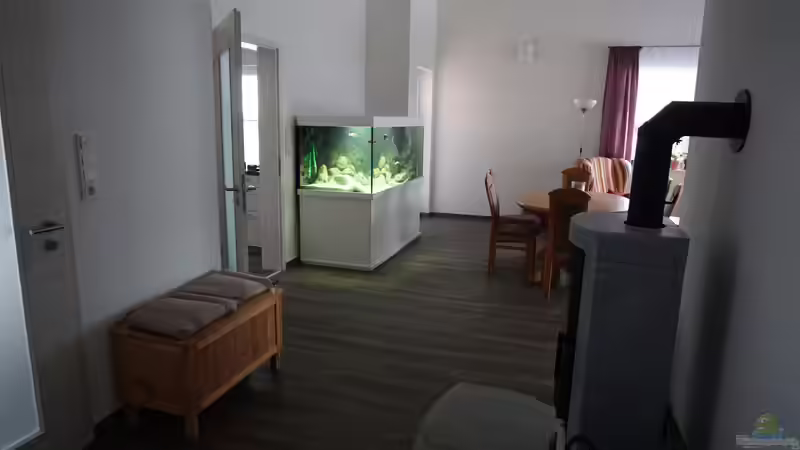 Aquarium Malawi 2 (aufgelöst, nur noch Beispiel ) von andreas32 (10)