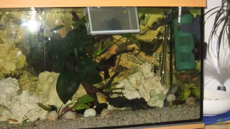 Aquarium Malawi 200 Liter von Sky1706 (5)