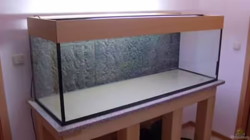 Aquarium Malawi 450 von Bootboy (2)