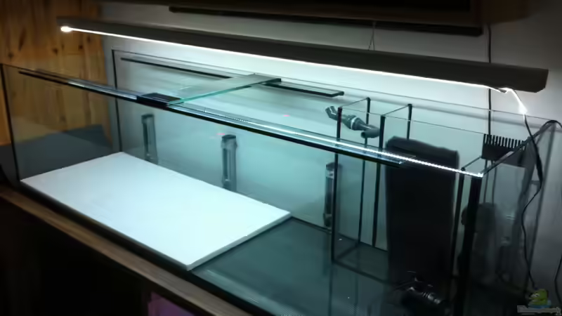 Aquarium Malawi 450 von Christoph Müller (13)