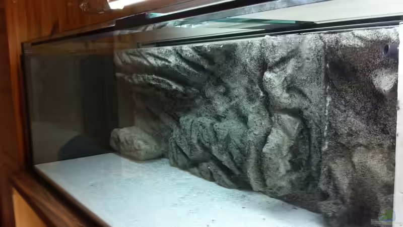 Aquarium Malawi 450 von Christoph Müller (14)