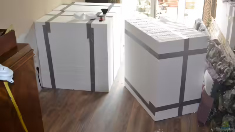 Aquarium Malawi Barschbecken von Midgard (4)