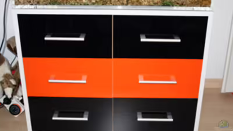 Aquarium Malawi Becken von Yves Luchsinger (2)