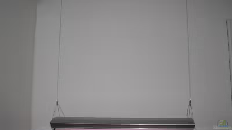 Aquarium Malawi Becken von Yves Luchsinger (3)