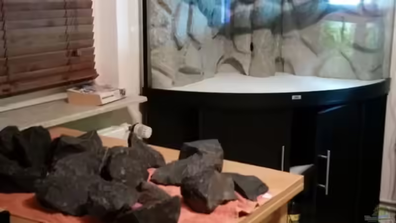 Aquarium Malawi Juwel Trigon 350 von Gunnar2060 (22)