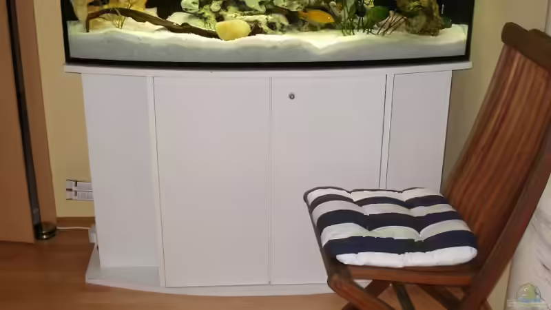 Aquarium Malawi Katzentraum Reloaded von Kleene69 (2)