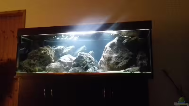Aquarium Malawi LavaBecken von Marco Schmitt (3)