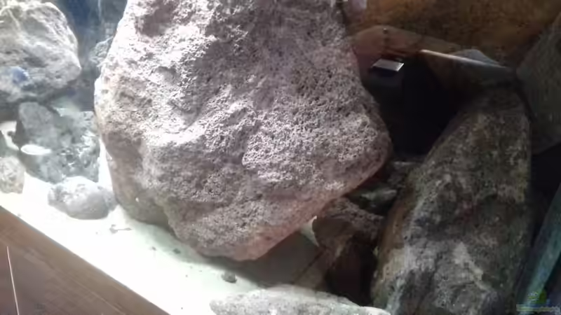 Aquarium Malawi LavaBecken von Marco Schmitt (6)