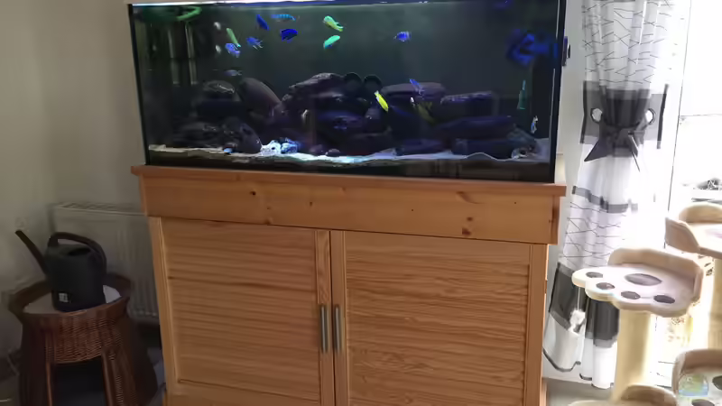 Aquarium Malawi Mbuna Tank vor Umbau von Sven W. (2)