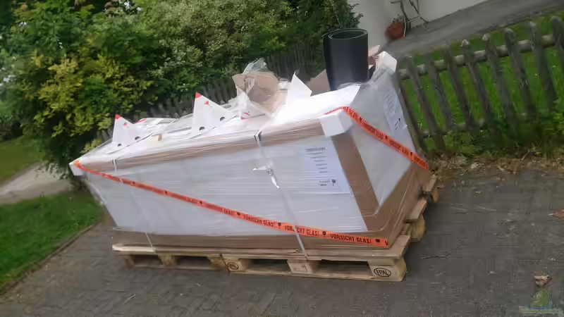 Aquarium Malawi Pfütze von Warsteiner (2)