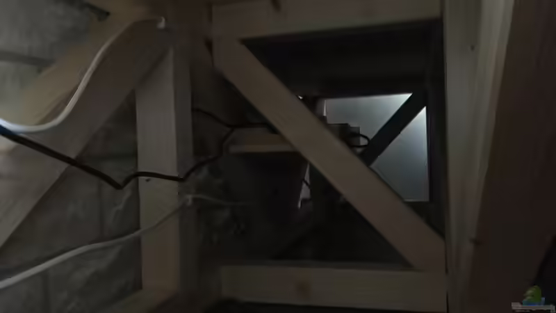 Aquarium Malawi Purkersdorf von Purki (64)