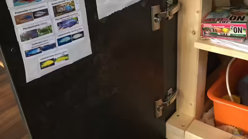 Aquarium Malawi Purkersdorf von Purki (65)