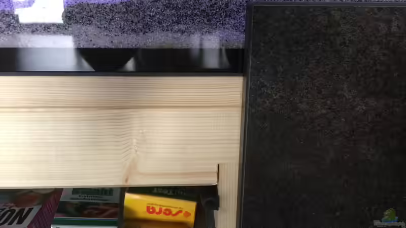 Aquarium Malawi Purkersdorf von Purki (66)