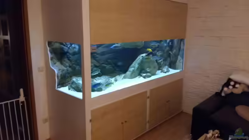 Aquarium Malawi Räuber von Wimmer Jürgen (2)