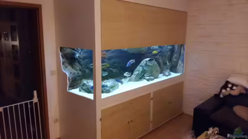 Aquarium Malawi Räuber von Wimmer Jürgen (5)