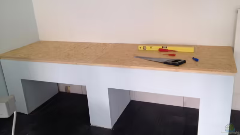 Aquarium Malawi Reef von Tobias Sch. (11)