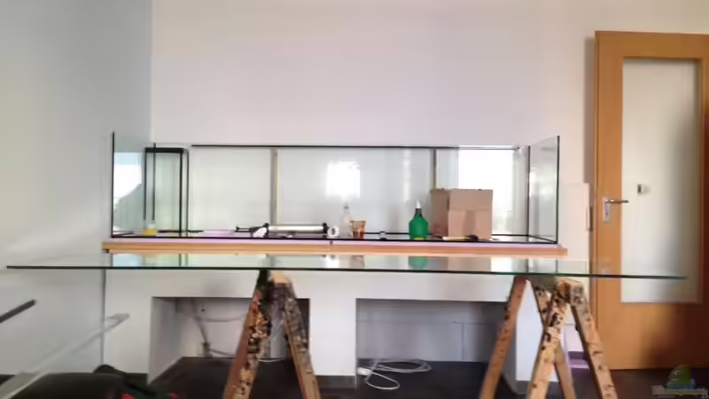 Aquarium Malawi Reef von Tobias Sch. (13)