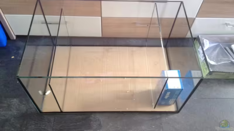 Aquarium Malawi Reef von Tobias Sch. (15)