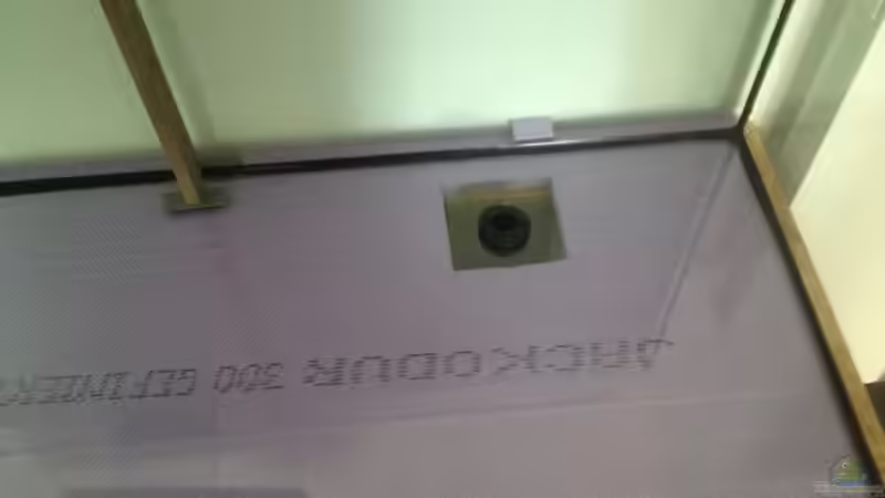 Aquarium Malawi Reef von Tobias Sch. (18)