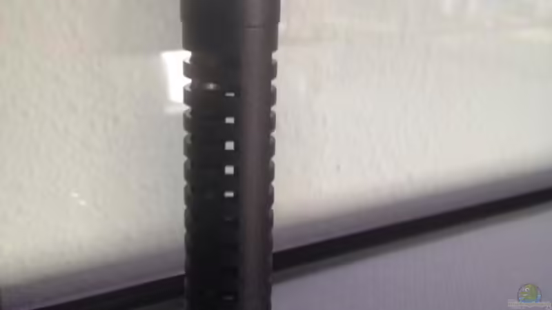 Aquarium Malawi Reef von Tobias Sch. (19)