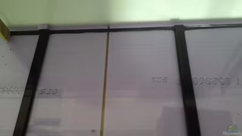 Aquarium Malawi Reef von Tobias Sch. (20)