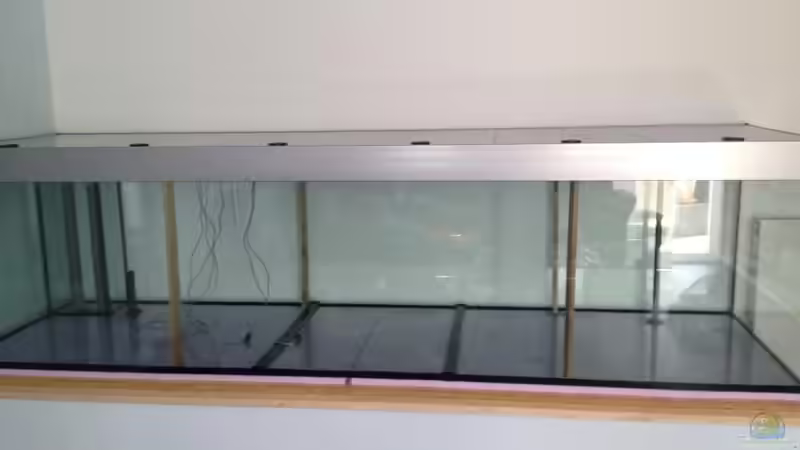 Aquarium Malawi Reef von Tobias Sch. (21)