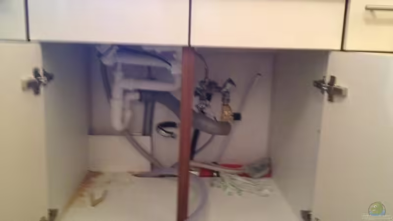 Aquarium Malawi Reef von Tobias Sch. (24)