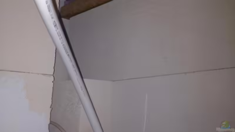 Aquarium Malawi Reef von Tobias Sch. (26)