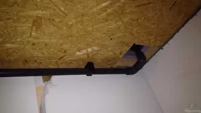 Aquarium Malawi Reef von Tobias Sch. (28)