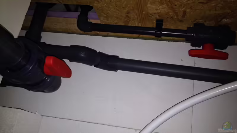 Aquarium Malawi Reef von Tobias Sch. (29)