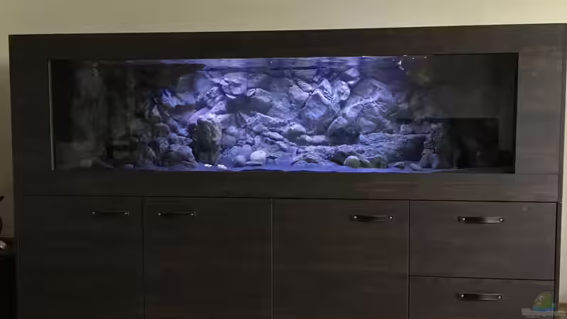 Aquarium Malawi Retro Becken von Albert (2)